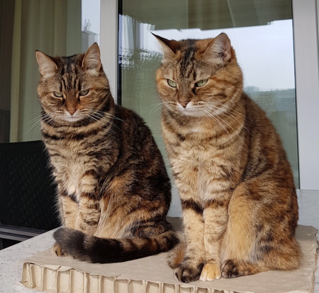 Karin mit Ronja & Madita